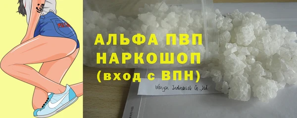 стаф Красноперекопск