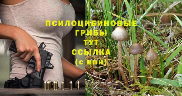 стаф Красноперекопск