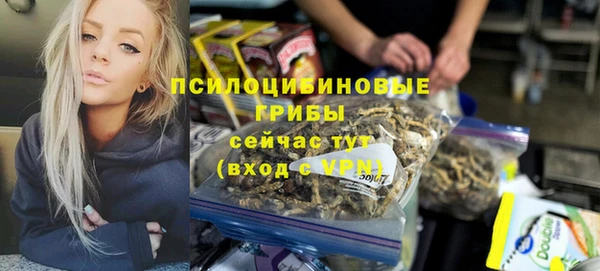 стаф Красноперекопск