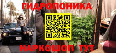 PSILOCYBIN Аргун