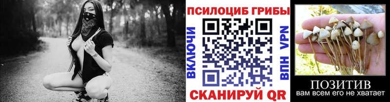 Галлюциногенные грибы Magic Shrooms  omg онион  Архангельск 