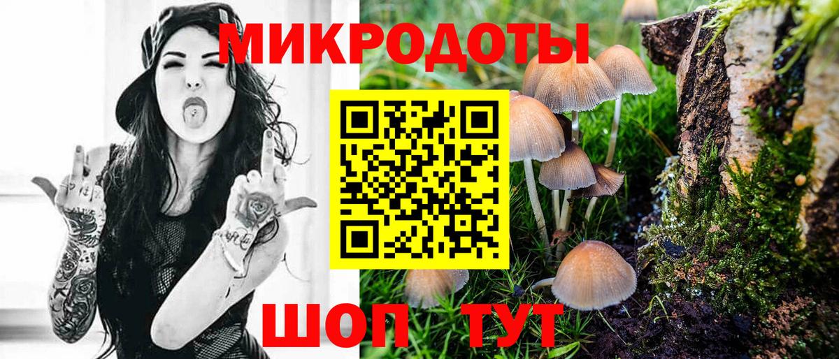 Псилоцибиновые грибы мицелий Архангельск