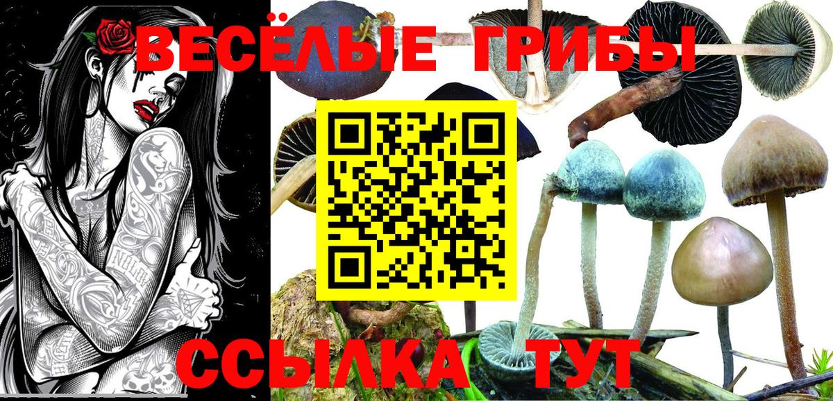 Псилоцибиновые грибы мицелий  даркнет сайт  Архангельск  Псилоцибиновые грибы мицелий 
