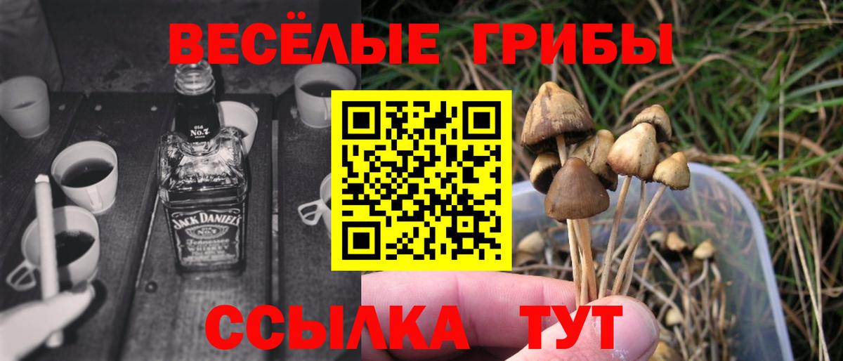 Галлюциногенные грибы GOLDEN TEACHER  Вход с VPN  Псилоцибиновые грибы Psilocybe  Архангельск 
