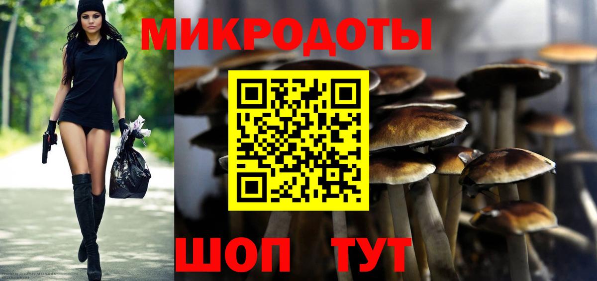 А ПВП Архангельск